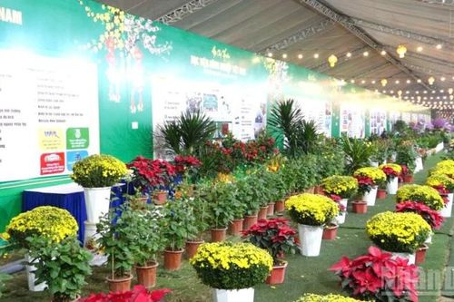 Kết nối nông sản, thúc đẩy chuyển đổi số từ giảng đường