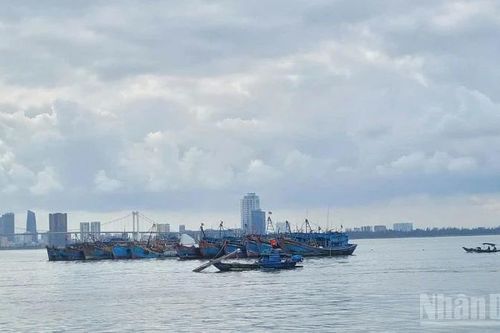 Chủ động ứng phó gió mạnh trên biển, bảo đảm an toàn tàu thuyền