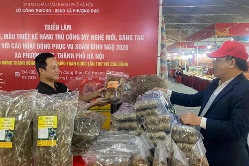 Hà Nội giới thiệu hàng thủ công mỹ nghệ dịp Xuân Bính Ngọ