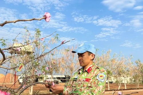 Người lính mũ nồi xanh mang tết Việt đến châu Phi