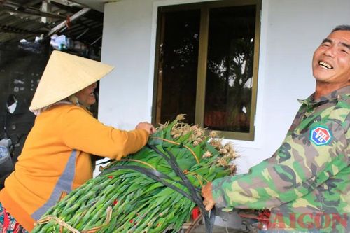Nông dân Quảng Ngãi được mùa hoa lay ơn