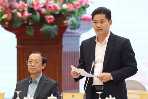 Đề xuất trình Chính phủ ban hành nghị quyết hướng dẫn thực hiện Nghị định 46