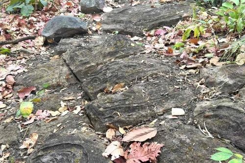 Bãi đá khắc họa tiết lạ ở Yok Đôn, dấu tích cư dân cổ Tây Nguyên?
