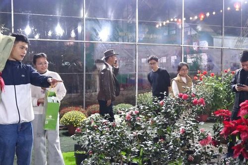 Đổi mới đào tạo từ giảng đường đến thị trường số theo tinh thần Nghị quyết 57