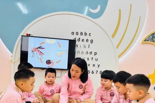 Học sinh Ninh Bình nghỉ Tết Nguyên đán 12 ngày