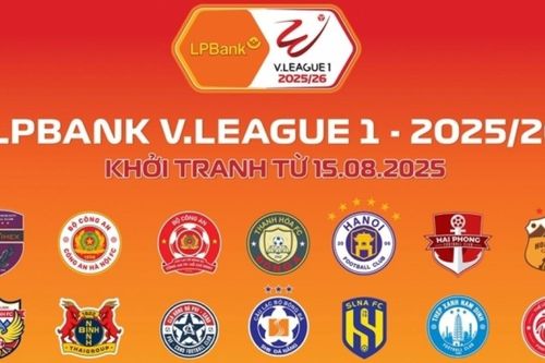 Lịch thi đấu V-League vòng 13 mùa giải 2025/26: Ninh Bình vs HAGL, Hà Nội vs Hải Phòng, Nam Định vs Hà Tĩnh