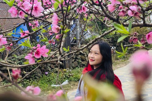 Sắc xuân trên bản du lịch Sì Thâu Chải