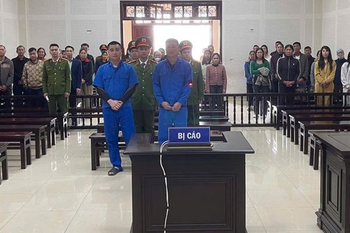 12 năm tù cho các bị cáo phạm tội Tổ chức cho người khác nhập cảnh trái phép