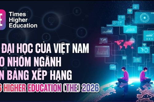 Các Đại học của Việt Nam theo Nhóm ngành trên bảng xếp hạng TIMES HIGHER EDUCATION (THE) 2026