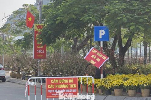 Quảng Ninh: Phường chia lô vỉa hè bán hoa, cấm ô tô để thu phí trái phép