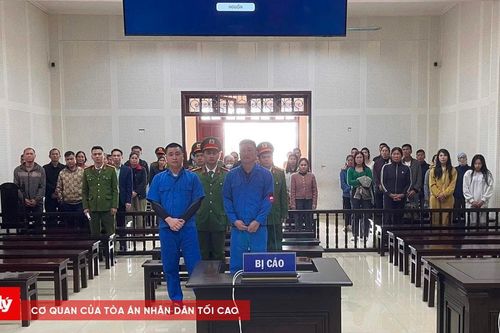 Đưa 20 người nhập cảnh trái phép, 2 bị cáo lĩnh 12 năm tù