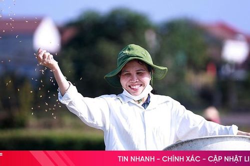 Ruộng đồng rộn tiếng cười xuân