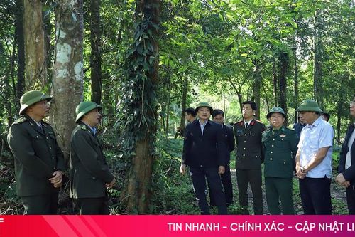 Tăng cường tuần tra, xử lý nghiêm hành vi xâm hại rừng dịp Tết