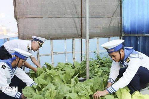 Rạng rỡ sắc xanh tại đặc khu Trường Sa