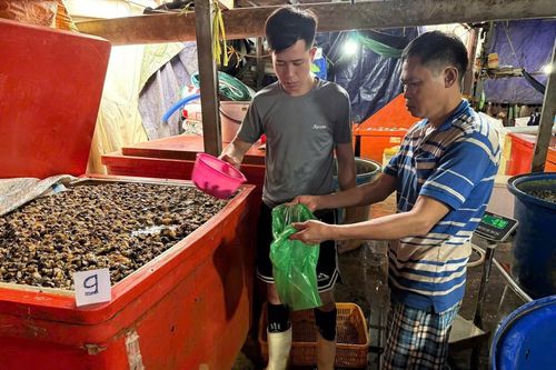 TP Hồ Chí Minh kiểm soát an toàn thực phẩm mùa Tết - Bài 1: Liên tiếp phát hiện vi phạm