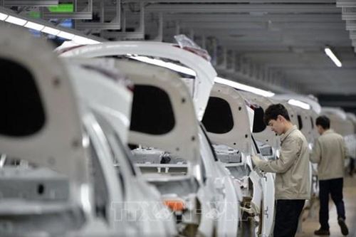 Doanh số của Hyundai và Kia tại Mỹ lập kỷ lục trong tháng 1/2026