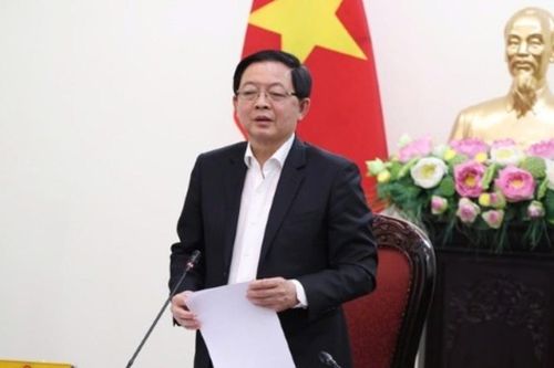 Hoàn thiện các dự án luật để trình Chính phủ, Ủy ban Thường vụ Quốc hội đúng tiến độ