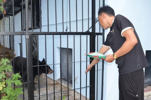Ngôi nhà dành cho động vật hoang dã