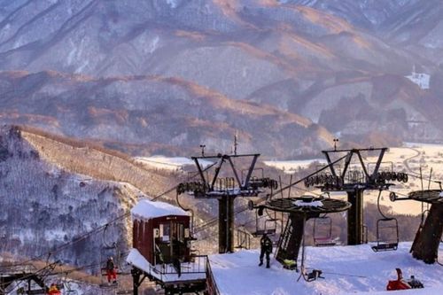 Tai nạn hy hữu tại Nhật Bản: Du khách tử vong do ba lô vướng vào cáp treo