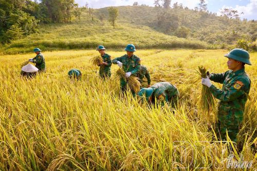 Khi 'Đồn là nhà, biên giới là quê hương'
