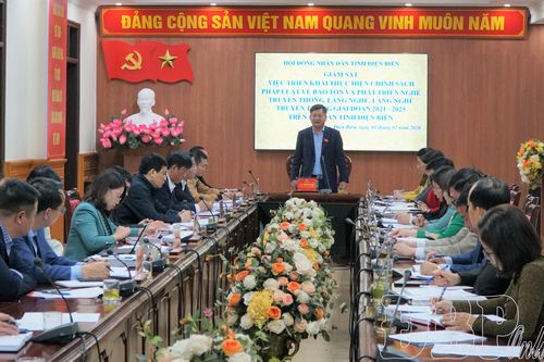 Giám sát chuyên đề về bảo tồn và phát triển nghề, làng nghề truyền thống