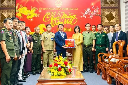 Đoàn đại biểu tỉnh Stung Treng thăm, chúc Tết tỉnh Gia Lai