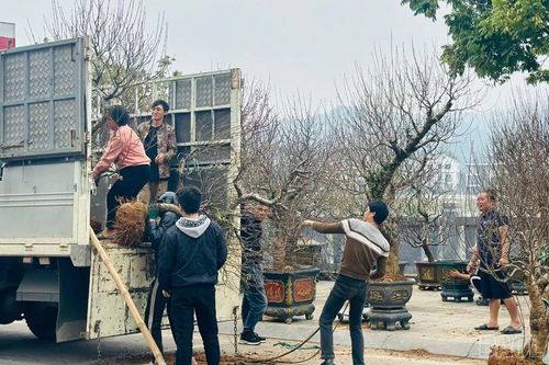 Những dịch vụ đắt khách ngày cận Tết