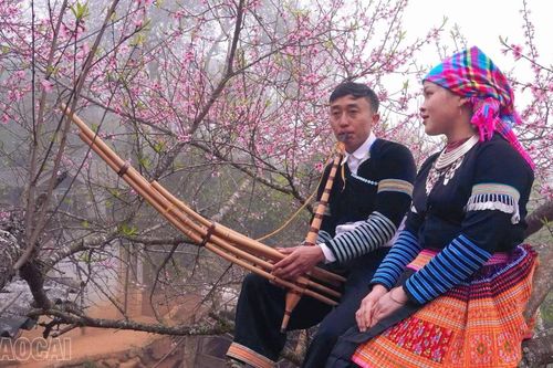 Xuân về trên rẻo cao Tà Xi Láng