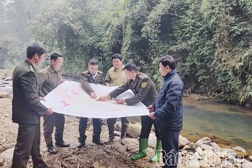Đồng lòng giữ rừng giáp ranh