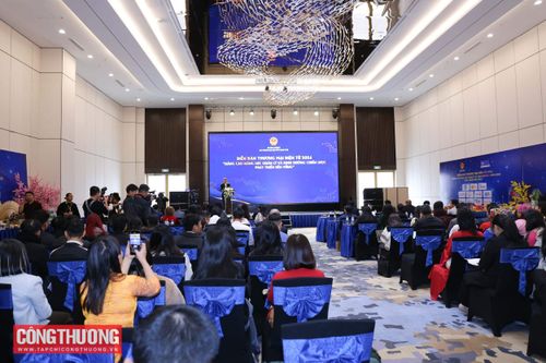 Củng cố năng lực thực thi, tạo nền tảng phát triển thương mại điện tử bền vững