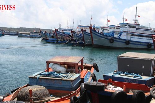 Mỹ siết MMPA, COA và thuế chống bán phá giá: Xuất khẩu thủy sản đối mặt 'cơn gió ngược' lớn
