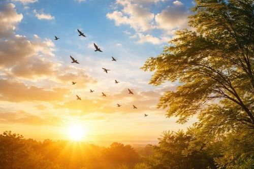 Trung với Đạo hay với một cá nhân?