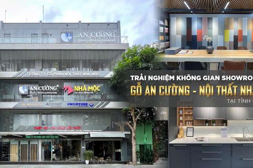 CTCP Gỗ An Cường (ACG): Doanh thu lập kỷ lục mới, trích lập dự phòng nợ xấu xấp xỉ 300 tỷ đồng