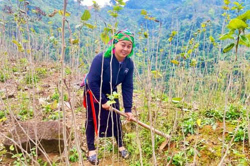 Hưng Đạo phát huy nội lực, khai thác tiềm năng, tạo đà phát triển bền vững