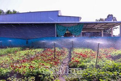 Hiện đại công nghệ tưới tiêu