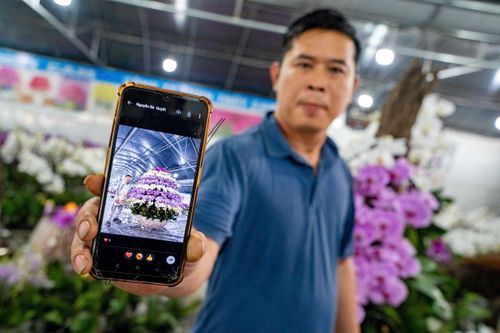 Chi cả trăm triệu đồng chơi hoa Tết