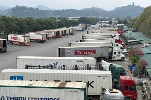 Bộ Y tế đề xuất tạm dừng hai văn bản siết quản lý an toàn thực phẩm