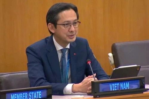 Việt Nam đánh giá cao vai trò và những đóng góp thiết thực của Chương trình Phát triển Liên hợp quốc