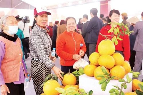 Đẩy mạnh kết nối tiêu dùng dịp Tết