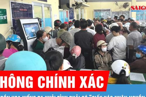 Vĩnh Long: Tin đồn hoa kiểng ra khỏi tỉnh phải có 'giấy xác nhận nguồn gốc' là không chính xác