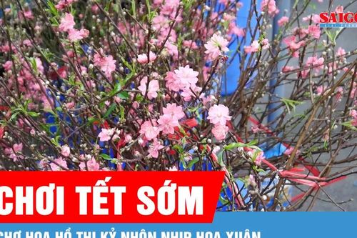 TPHCM: Đào mini, tuyết mai 'đổ bộ' chợ hoa Hồ Thị Kỷ