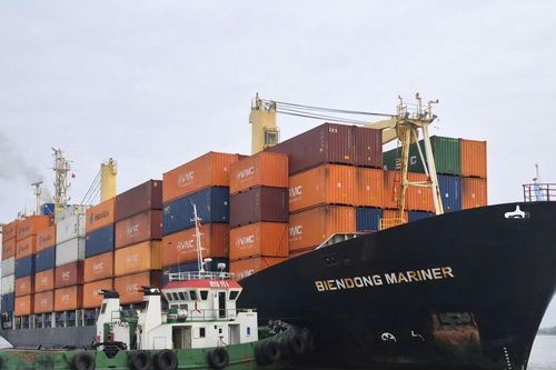 VIMC Lines: Hải trình mùa xuân – trọn vẹn niềm tin