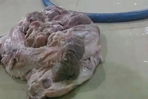 Vụ nghi thịt bẩn tuồn vào trường học: Sở An toàn thực phẩm TPHCM lên tiếng