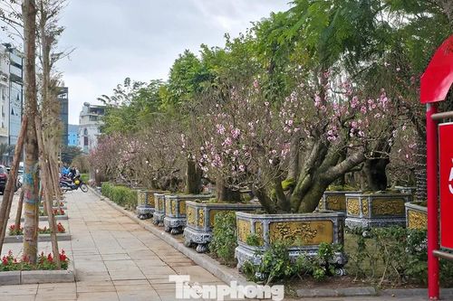 Vỉa hè và chốt thu phí xe ở Quảng Ninh được 'giải phóng' sau bài viết trên Báo Tiền Phong
