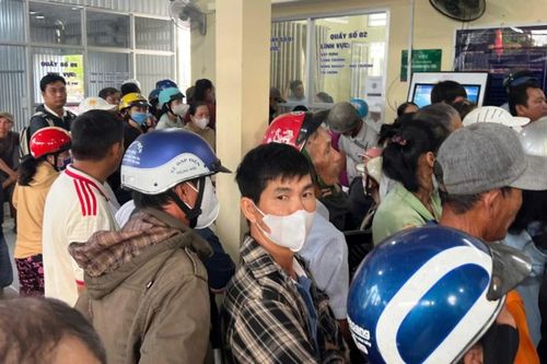 Thông tin hoa và cây kiểng phải có giấy tờ về nguồn gốc mới được vận chuyển, mua bán là tin đồn thất thiệt