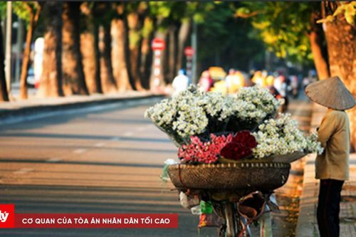 Thời tiết hôm nay 5/2: Miền Bắc hửng nắng sau sương mù, miền Nam nắng hanh
