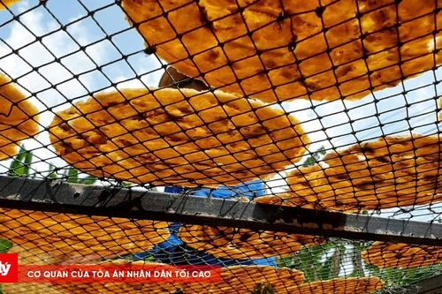 Ghé thăm làng nghề ép chuối khô ngày giáp Tết
