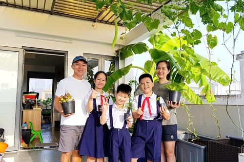 Ông bố 3 con ở TPHCM biến sân thượng từ nhà đến công ty thành vườn rau xanh mướt