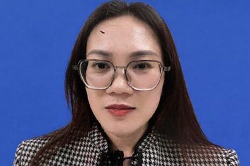 Đề nghị truy tố đối tượng lừa góp vốn mua đất và thuê ô tô đem đi cầm cố