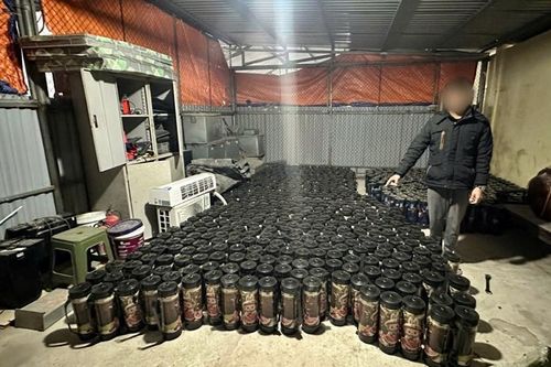 Bắt giữ vụ vận chuyển trái phép 500 bình 'khí cười'